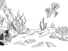 Underwater Graphic Sea Black White Sketch Illustration Vector