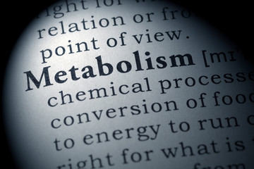 Sticker - definition of metabolism