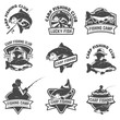 Set of carp fishing labels isolated on white background. Design elements for logo, label, emblem, sign. Vector illustration.