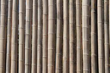  Bambus-Zaun