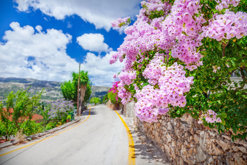 Poster - Street in Kefalonia, Greece