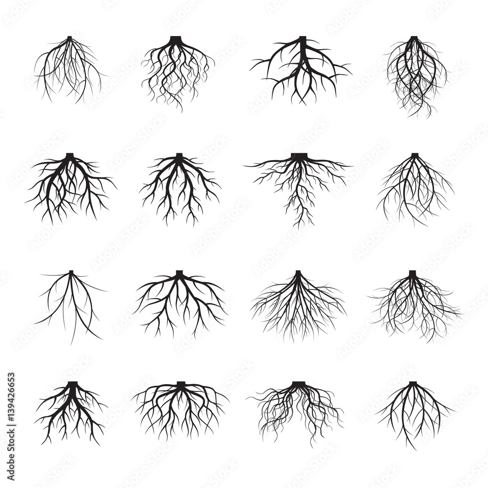 Big Set of Black Roots. Vector Illustration. Stock Vector | Adobe Stock