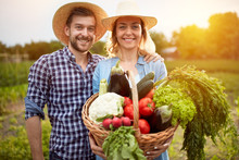 Nice Farmers Couple Posing With Basket With Vegetables