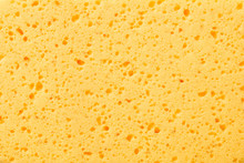 Close-up Texture Of Yellow Sponge