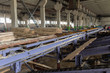 © ArtEvent ET - Sawmill. The process of cutting logs into boards. Automatic line sawing