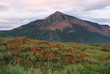 Mt. Crested Butte near Crested Butte, CO