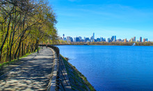View Of Central Park At Sunny Spring Day