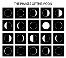 Vector. Moon. The Phases Of The Moon. Simple Vector Template. The Whole Cycle From New Moon To Full. Vector Illustration. Graphic Image. Stylization. Set Of The Phases Of The Moon On Black Background