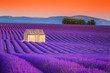 Spectacular lavender fields in Provence, Valensole, France, Europe