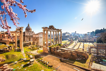 Fototapete - Roman ruins in Rome at spring, Italy