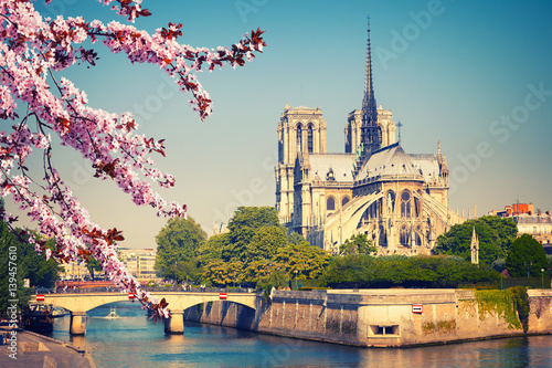 Plakat Notre Dame de Paris wiosną we Francji