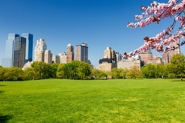 Fototapete - Central park at spring sunny day, New York City