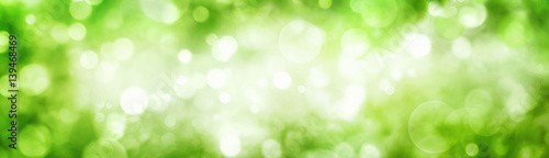 Breiter Hintergrund aus schönen unscharfen Glanzlichtern im Grünen