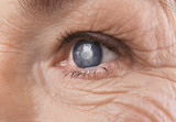 Fototapeta  - Senior woman face with wrinkles, closeup
