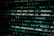 © Africa Studio - Script code on monitor, closeup. Software development concept