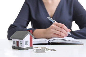 Sticker - Model of house with key and woman on background