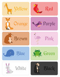 Fototapeta Pokój dzieciecy - Color names vocabulary for primary education