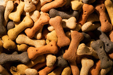Mix Of Colorful Dog Biscuits In A Bone Shape. Colors Include Red, Yellow And Black. 