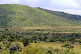 Fototapeta Sawanna - Sawanna w parku narodowym Pilanesber w Republice Południowej Afryki