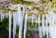 Frosty White Icicles Hanging From A Rocky Overhang Micro-cave Environment, Moss And Red Stone