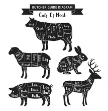 Butcher Guide Cuts Of Meat Diagram. Vector Illustrations.