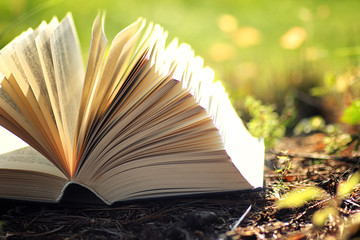 open book with flower on grass