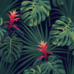 Plakat dżungla las lato