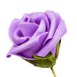 purple flower head isolated, beautiful decoration,top view