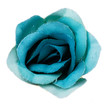 blue flower head isolated, beautiful decoration,top view