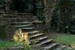 Old stone stairs of the lost city in the thick forest of northern Colombia.