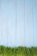 Green grass over wood background.