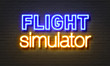 Flight simulator neon sign on brick wall background.