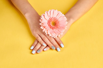 Fotomurales - Gentle female hands with pink gerbera.