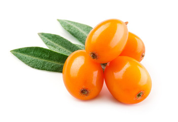 Sea buckthorn. Fresh ripe berries with leaves isolated on white background.