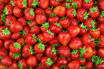 Sticker - Strawberry. Fresh organic berries macro. Fruit background