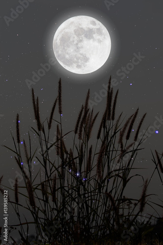Fotografie, Obraz Romantic Moon In Starry Night Over Grass.