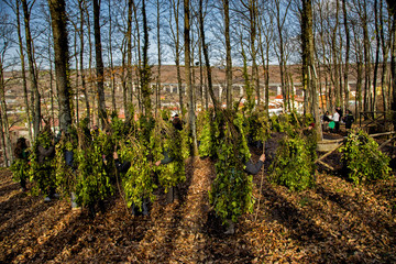 SATRIANO DI LUCANIA (ITALY) Every year Satriano, a town in Southern Italy, Basilicata, hosts its carnival in which the Rumit, or tree man, walks the streets