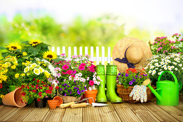 Canvas Print - Gardening tools and flowers on the terrace i