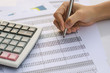 © Achira22 - Business concept : Financial accounting stock market graphs analysis.