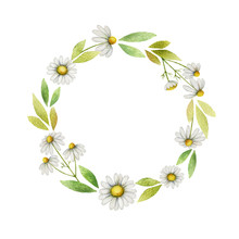 Watercolor Chamomile Round Frame Of Flowers And Leaves On A White Background.