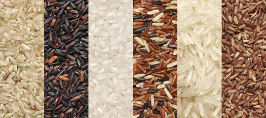Canvas Print - Various rice set