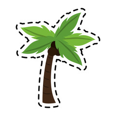 Sticker - palm tree icon image vector illustration design 