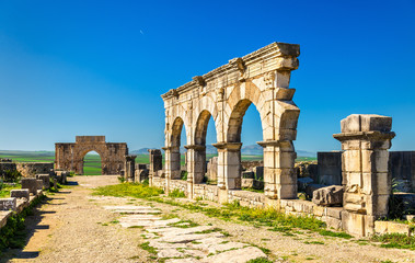 Canvas Print - Decumanus Maximus, the main street of Volubilis, an ancient Roman town in Morocco