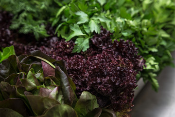 Wall Mural - Fresh greens in metal bowl on professional kitchen. Selective focus. Shallow depth of field