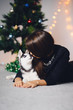 © Parilov - Girl on the background of a Christmas tree with a puppy of a husky. Dog black and white with blue eyes. Concept gift for the new year dog.