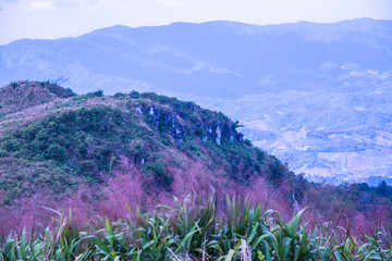 Mountain view of Phu Chi Fa at Chiangrai province