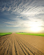 © Željko Radojko - Plowed field in spring time with blue sky