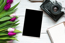 Vintage Retro Camera With Blank Photo Frame And Purple Tulip Flowers With Blank Notebook