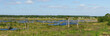 Panorama of Viera Wetlands in East Central Florida