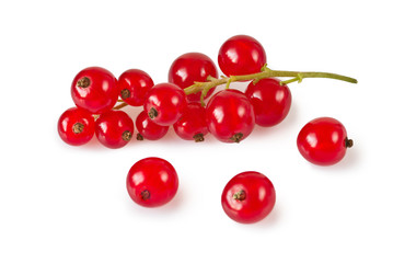 Redcurrant